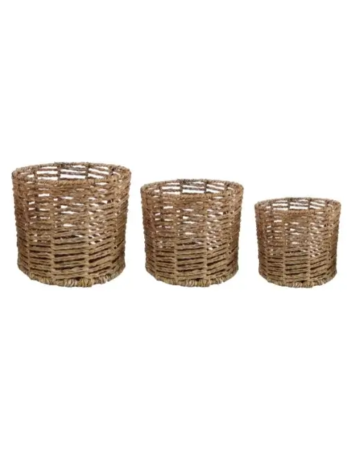Latest Seagrass Egg Holder Baskets Products 1 - Diamond Crafts BD