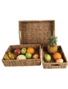 Latest Seagrass Fruit Vegetable Tray Product 2 - Diamond Crafts BD