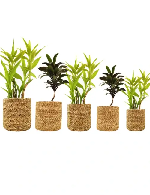Latest Seagrass Planter Basket Product 2